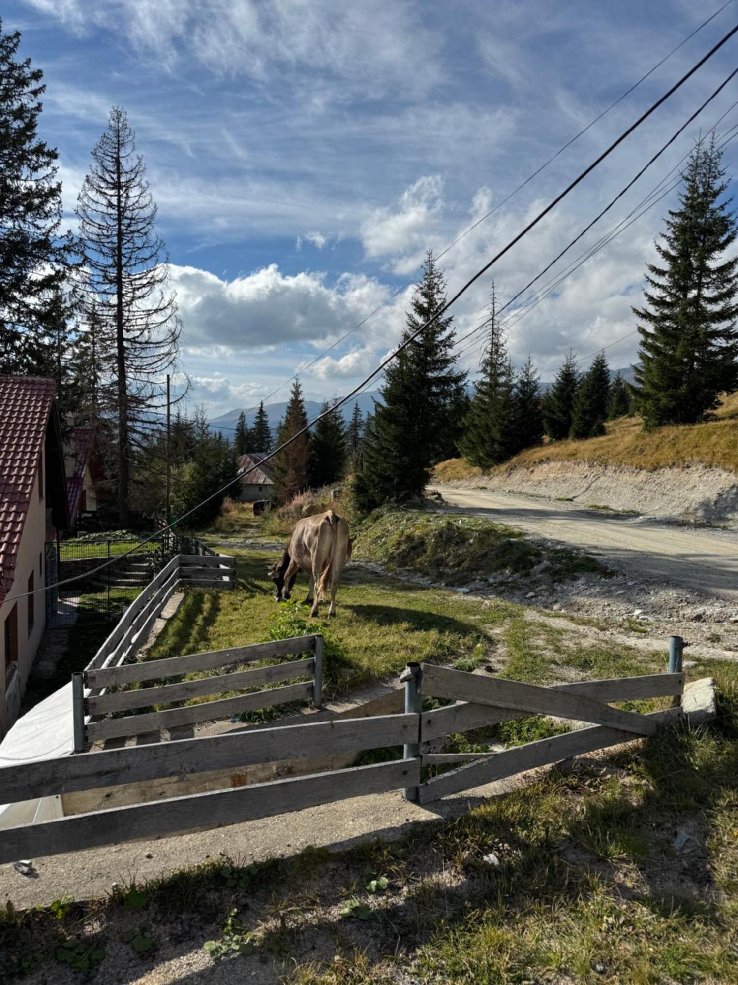 Casa Hai La Rânca Exteriér fotografie